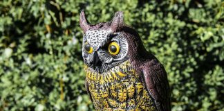 Diakonian ammattilaiset opettelevat röyhkeyttä Helsingin tuomiokirkon kryptassa – mistä on kyse?