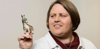 Minkä seimen hahmon haluaisit tavata? – Laura Mäntylän valinta on aasi