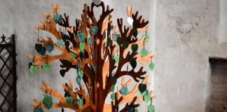 Ekumeeninen Neuvosto: Ymmärrys kasteesta on ohentunut