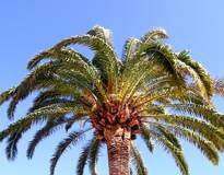 Kirkolliskokous myönsi tukea Fuengirolan seurakuntakodille