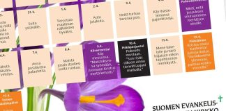 ”Mene metsään ja ihmettele” – Kirkko teki paastokalenterin