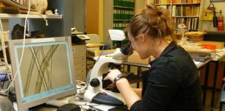 DNA-tutkimus haastaa hautarauhan, pelisääntöjä halutaan tarkentaa