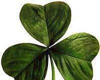 Tänään on Pyhän Patrickin päivä