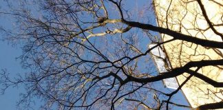 Toiminnanjohtaja: Uuskarismaattisuuden ongelma rahatukun mennessään vievät tuontisaarnaajat