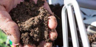 Seurakunta ottaa kirkon pihan viljelykäyttöön