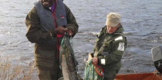 Maasai-piispa tutustui saamelaisiin – nappasi Tenon lohen