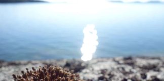 Loppuvuosi eletään velaksi