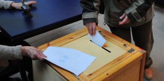 Vihreille kattava valtakunnallinen verkosto vaaleissa