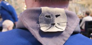 Partiolaiset menestyivät seurakuntavaaleissa