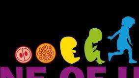 Ihmisalkion suojelua ajava kansalaisaloite läpi EU:ssa