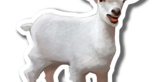 Toisenlainen joulukeräys – omat lahjat kehitysmaiden hyväksi