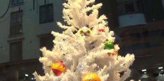 10 joulukuusta – Katso video!