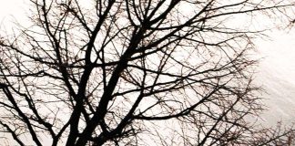 Talvipäivänseisaus on luonnonuskontojen juhla