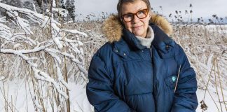 Hilkka Olkinuoran jouluhartaudet hyllytettiin