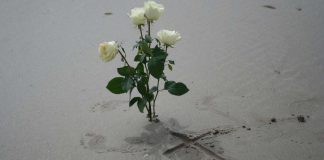 Tsunamin muistoksi rukoushetkiä