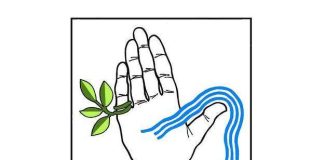 Rekisteröityjen uskonnollisten yhdyskuntien määrä ylitti sadan – uutena uskontona mandealaisuus