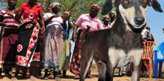 Suomalaisten käsitys kehitysmaista todellisuutta huonompi