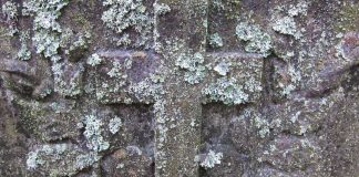 ”Välinpitämätön asenne on saanut maailmanlaajuiset ulottuvuudet”