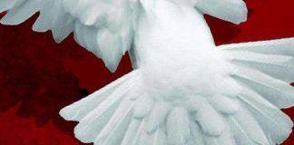 Homoseksuaalisuuskeskustelu määrittelee uskonnollisen liikkeen suhdetta yhteiskuntaan