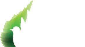 Kaikki Vantaan rippileirit vihreiksi viimeistään 2020?