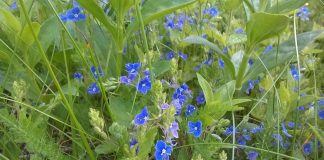 Kotimaan juhannuskilpailussa kuvataan #kesäeeden!