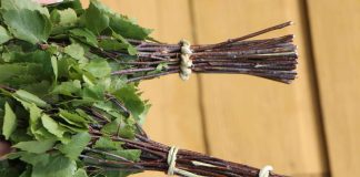 Päijänne erottaa vihdan ja vastan