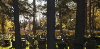 Hautausmaiden opastetut kiertokävelyt vetävät puoleensa