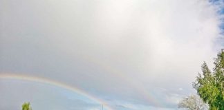 Tanskan tiedeministerin lausunnoista kreationismikohu