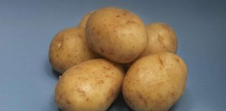 National Geographic: Ilmastonmuutos pienentää viljasatoa