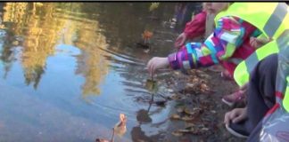 Lapsilta terveiset ilmastokokoukseen kaarnavenein