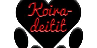 ”Kiltti pitää olla ja purra ei saa” – Seurakunta järjestää koiradeitit