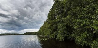 Mäkinen ja Kalliala kehottavat rukoilemaan Pariisin ilmastokokouksen puolesta
