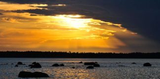 Poliittiset nuoriso- ja opiskelijajärjestöt vaativat yhdessä ilmastotoimia