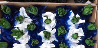 Yksinäisiä muistetaan kukalla ja viestillä