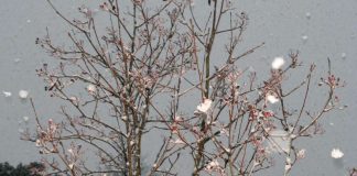 Ilmastosopimus on mannaa kirkkoliitoille