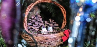 Jo 24 vuotta yksinäisten joulujuhlia Oulussa