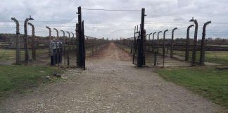 Auschwitz kiinnosti ennätysyleisöä