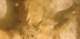 Tutkimus: ex-helluntailaisten suhde uskontoon vaihtelee