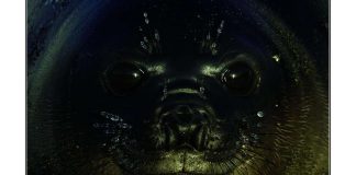 Valamossa esillä luontokuvaajien huippuotoksia