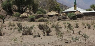 Suomen Lähetysseura hakee vapaaehtoisia ulkomaille