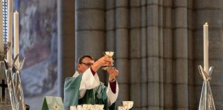 Kaksikielisistä papeista pula Ruotsissa