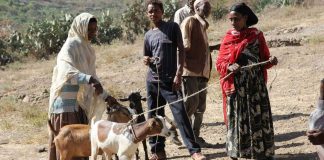 Lähetysseura ja KUA vetoavat Afrikan kuivuusalueiden auttamiseksi