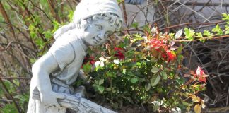 Silmäterä ja neljä muuta fraasia Raamatusta