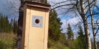 Suomi sekosi linnunpönttöihin