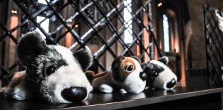 ”Siunaa tennispallomme” – kirkkoherra ja konsultti kirjoittivat koirarukouskirjan