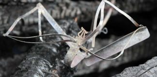 Ylivieskan seurakunta saa uudet nuotit lahjoituksena