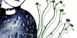 Puolan luterilaisten enemmistö naispappeuden kannalla