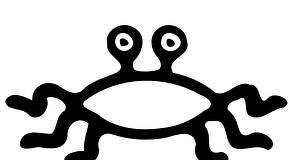 Pastafarit vihkivät ensimmäisen parin avioliittoon Uudessa-Seelannissa