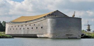 Nooan arkilla kesäolympialaisiin