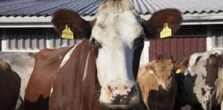 Piispa Häkkinen: ”Maanviljelijöiden taakka on kannettava yhdessä”